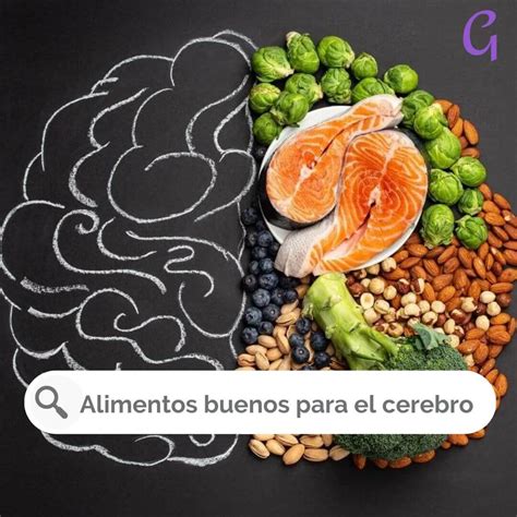 4 Buenos alimentos para el cerebro Guía Femenina