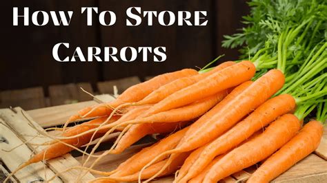 21 Best Hacks On How To Store Carrots For Keeping It Fresh