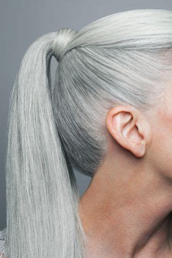 Cropped Shot Of Grey Haired Ponytail Profile Silver Grey Hair Long