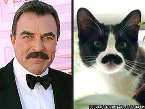 Boredom Crusher Famous People And Their Cat Look Alikes