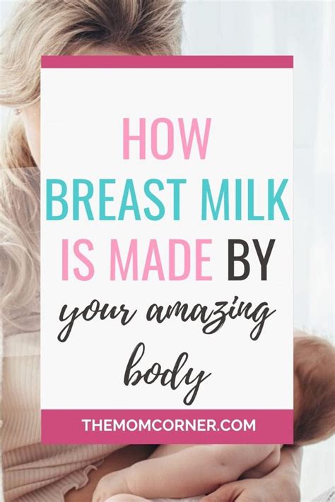 How Is Breast Milk Made In Your Amazing Body Themomcorner