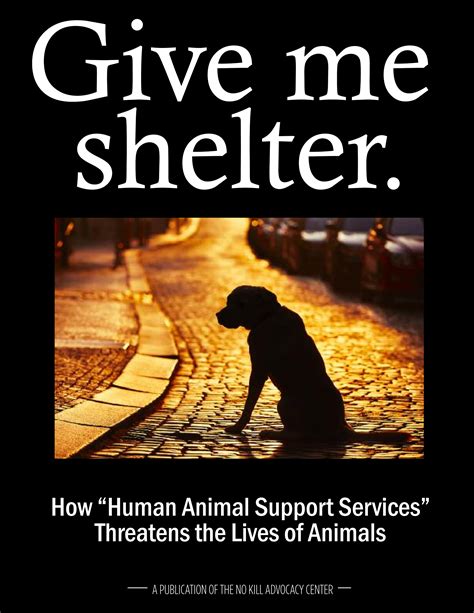 Give Me Shelter — The No Kill Advocacy Center