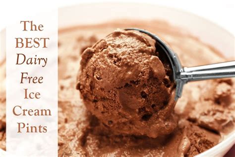 Https Godairyfree Org Food And Grocery Best Dairy Free Ice Cream