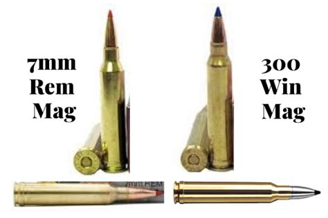 7mm Rem Mag Vs 300 Win Mag Cartridge Comparison Thegunzone