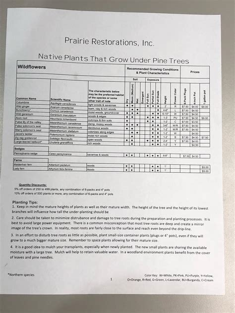 Of course, conifers are also versatile and attractive additions to the landscape. Plants for under conifers. Thanks for this, stepdad ...