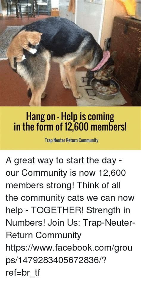 Hang On Help Is Coming In The Form Of 12600 Members Trap Neuter Return