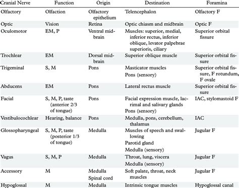 Summary Of Cranial Nerves Download Table