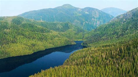 Tongass National Forest Timber Sale Nearing Completion