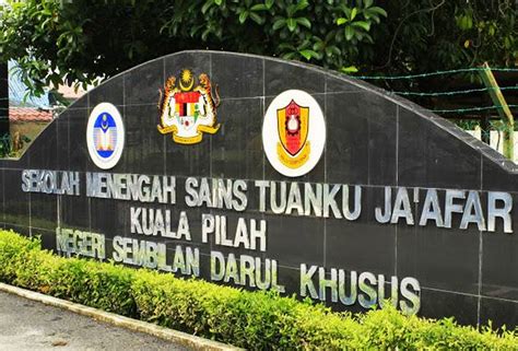 Find information of institution type, number of courses offered, campus loaction and setara rating of the institute. UiTM Kuala Pilah gajah putih? | Astro Awani