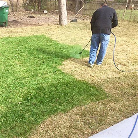 How Lawn Spray Paint Keeps Your Grass Green Thesuperboo Lawn Care