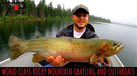 Fishing For World Class Rocky Mountain Grayling And Cutthroat Youtube