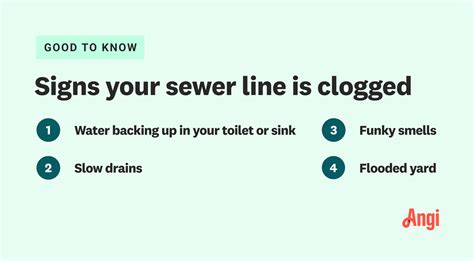 8 Signs Of A Clogged Septic Line