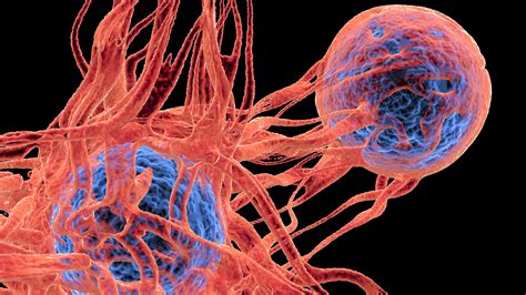 New Drug Triggers Disseminated Cancer Cell Dormancy Newsroom Albert