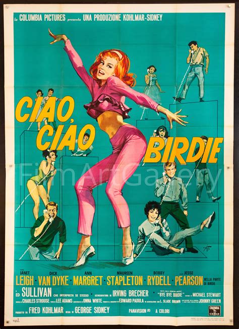 Bye Bye Birdie Ciao Ciao Birdie Movie Poster 1963 Film Art Gallery