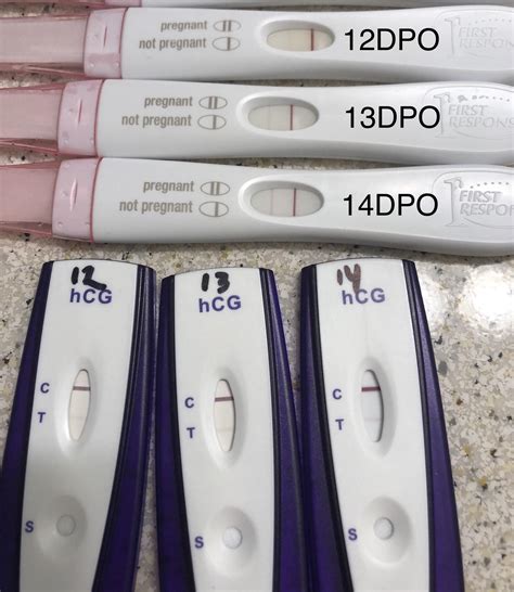 14 Dpo Faint Positivefav Events