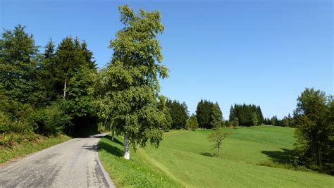 Wir hoffen auf eine baldige normalität, damit wir auch wieder kostendeckend arbeiten dürfen. Gottschalkenberg-Pass (Schweiz) per Motorrad - Fotos ...