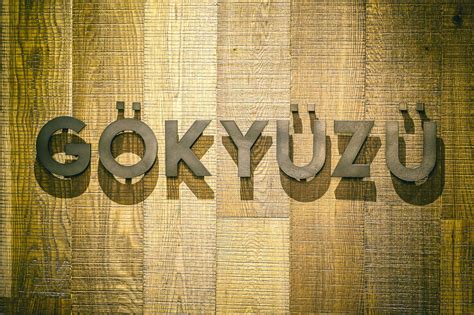 Gokyuzu Restaurant Green Lanes Harringay Turkish Restaurant