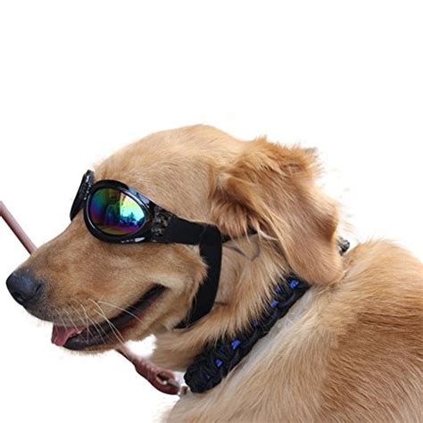 Top 10 Best Dog Goggles Top Reviews No Place Called Home