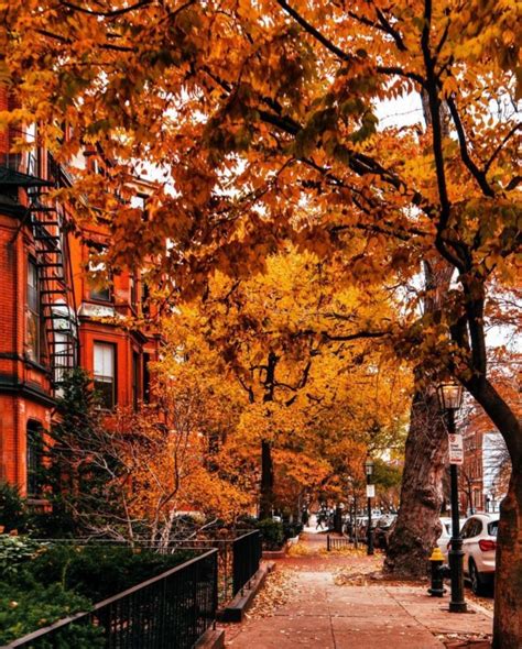 50 Autumn Wallpapers And Backgrounds — Beautiful Fall In Boston Idea