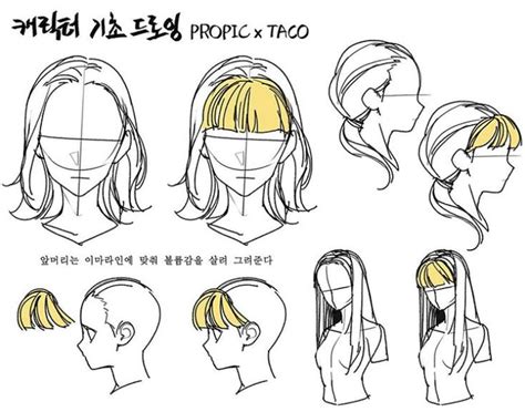 Fringe Is Drawn With Volume According The The Hairline Art Reference