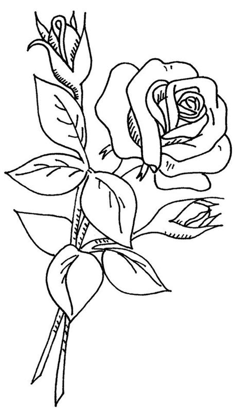 30 Gambar Sketsa Bunga Untuk Mewarnai Servergambar01 Di