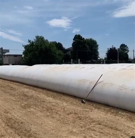 Silage Bag With A Diameter Of 9 Feet China 12ft Silo Bag And Longxing Grain Bag