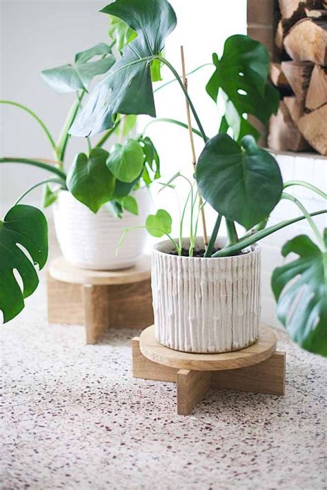 Vasos De Plantas Saiba Como Escolher E Veja 60 Modelos E Ideias Diy