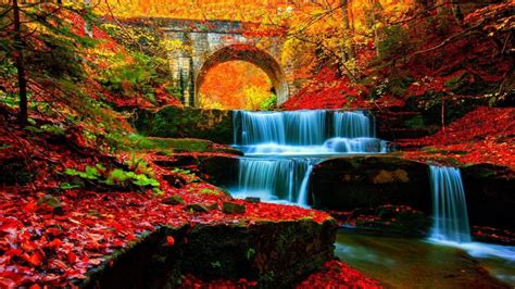 Wasserfall Stream Zwischen Felsen Mit Roten Blättern Und Bunten Bäumen