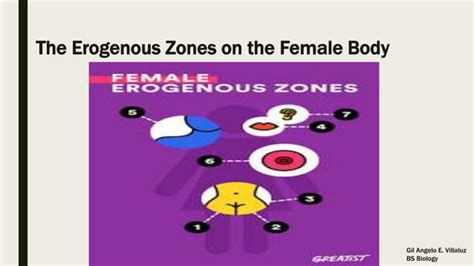 Erogenous Zone Ppt