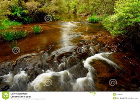 Flowing Creek Stock Image Image Of Hiking Landscape 4548067