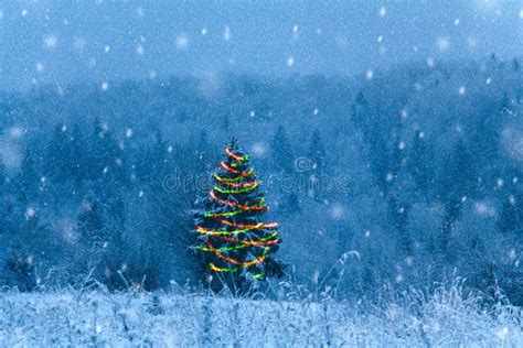 Festive Tree In A Snowy Field Stock Image Image Of Blizzard