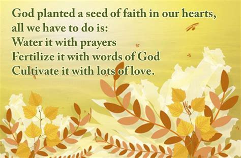 List Of Beautiful Picture With Quotes God Planted A Seed Of Faith In