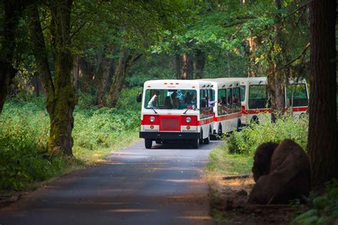 Visit Northwest Trek For Animals Trams Trails Tours Nature Events