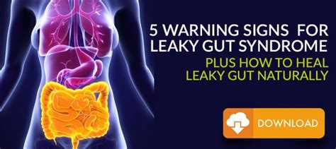 Healing Leaky Gut Naturally Advanced Metabolic And Functional Medicine