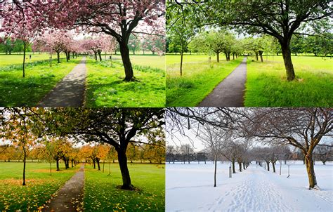 The Four Seasons Free Stock Photo Public Domain Pictures