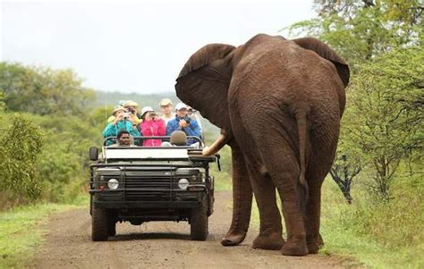 Big Five Nature Reserves In South Africa Big Five Safari Game Reserves