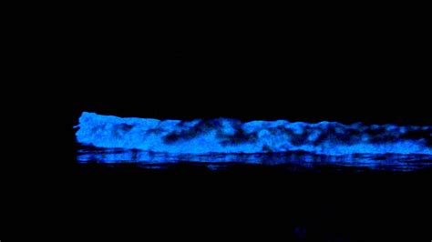 Red Tide Causes Bioluminescent Ocean Youtube