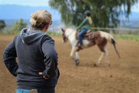 5 Ways To Turn Horse Riding Into A Business