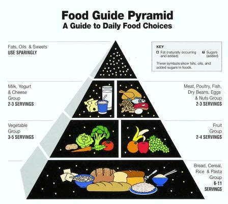 6 A Guide To The Food Pyramid