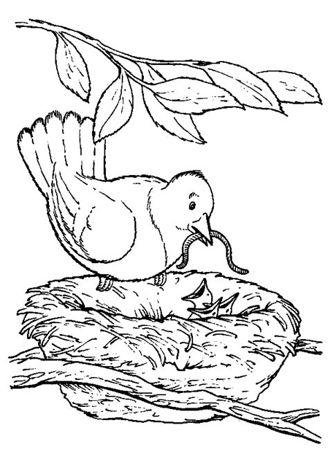 Coloriage Oiseau Nourrit Ses Bébés
