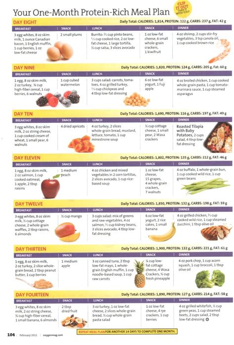 Printable High Protein Diet Plan