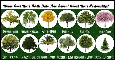 What Does Your Birth Month Tree Reveal About Your Personality