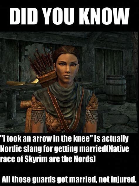 Skyrim My Sister Got Mad At My Brother For Sayingi Took An Arrow To