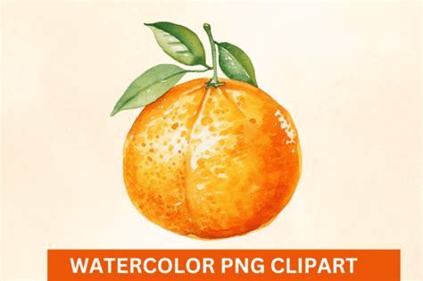 Watercolor Orange Clipart Png Graphic By Craft Fair · Creative Fabrica