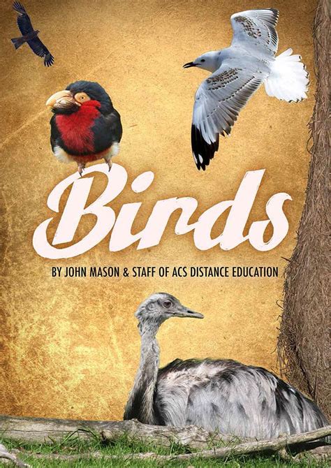 Identifying Birds Ebook Identifying Birds Ornithology Ebook