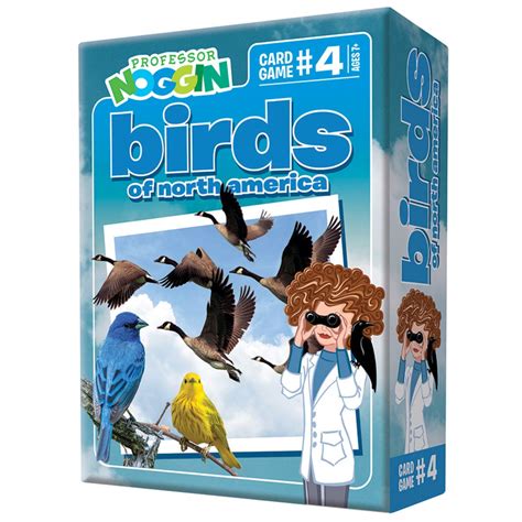 Buy Professor Noggins Birds Of North America Trivia Card Game An