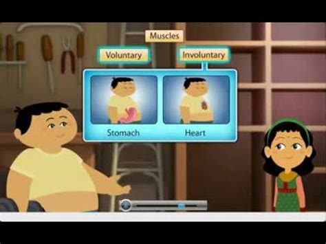 What are voluntary and involuntary actions give examples? EVS- 4th Std: Voluntary and Involuntary Muscles - YouTube