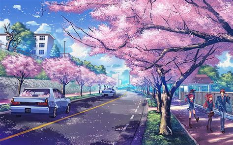 Anime Sakura Tree Wallpaper 4k 370 Cherry Blossom Hd Wallpapers