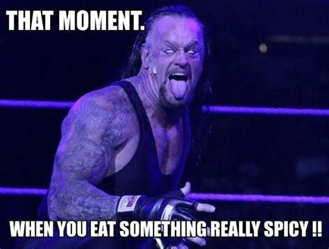 Hilariously Funny Wwe Memes Especially For Wwe Fans Undertaker Wwe