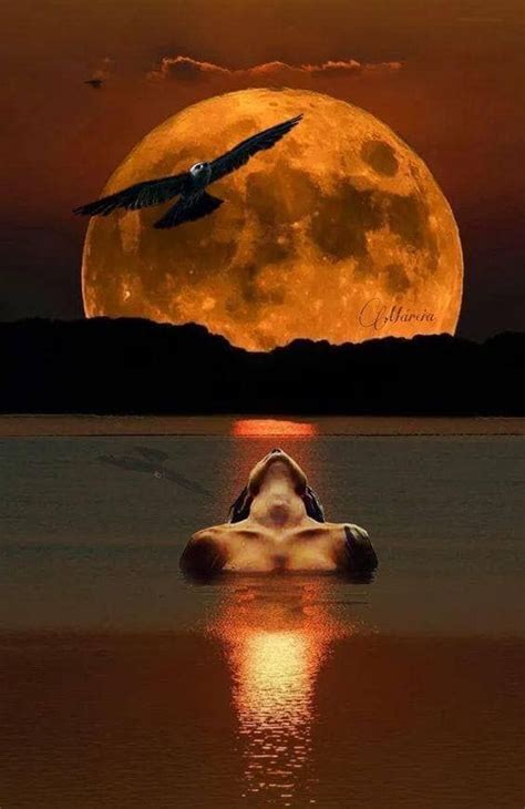Good Night Moon Shine On Simply Breathtaking Moonlight Photography